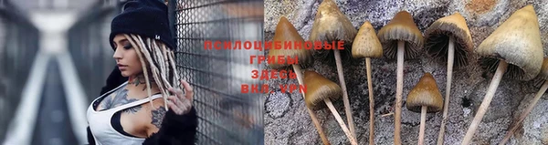 винт Няндома