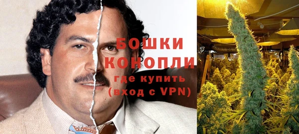 спайс Белокуриха
