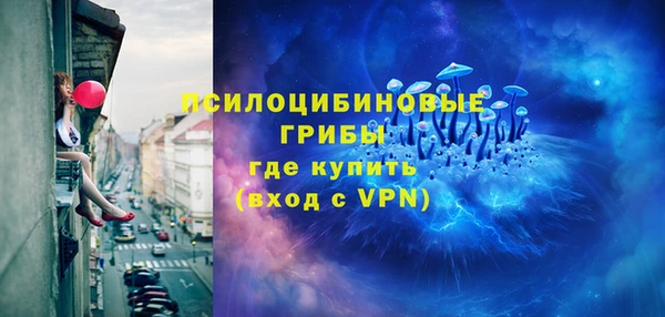 винт Няндома