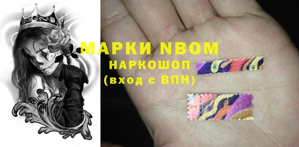 винт Няндома